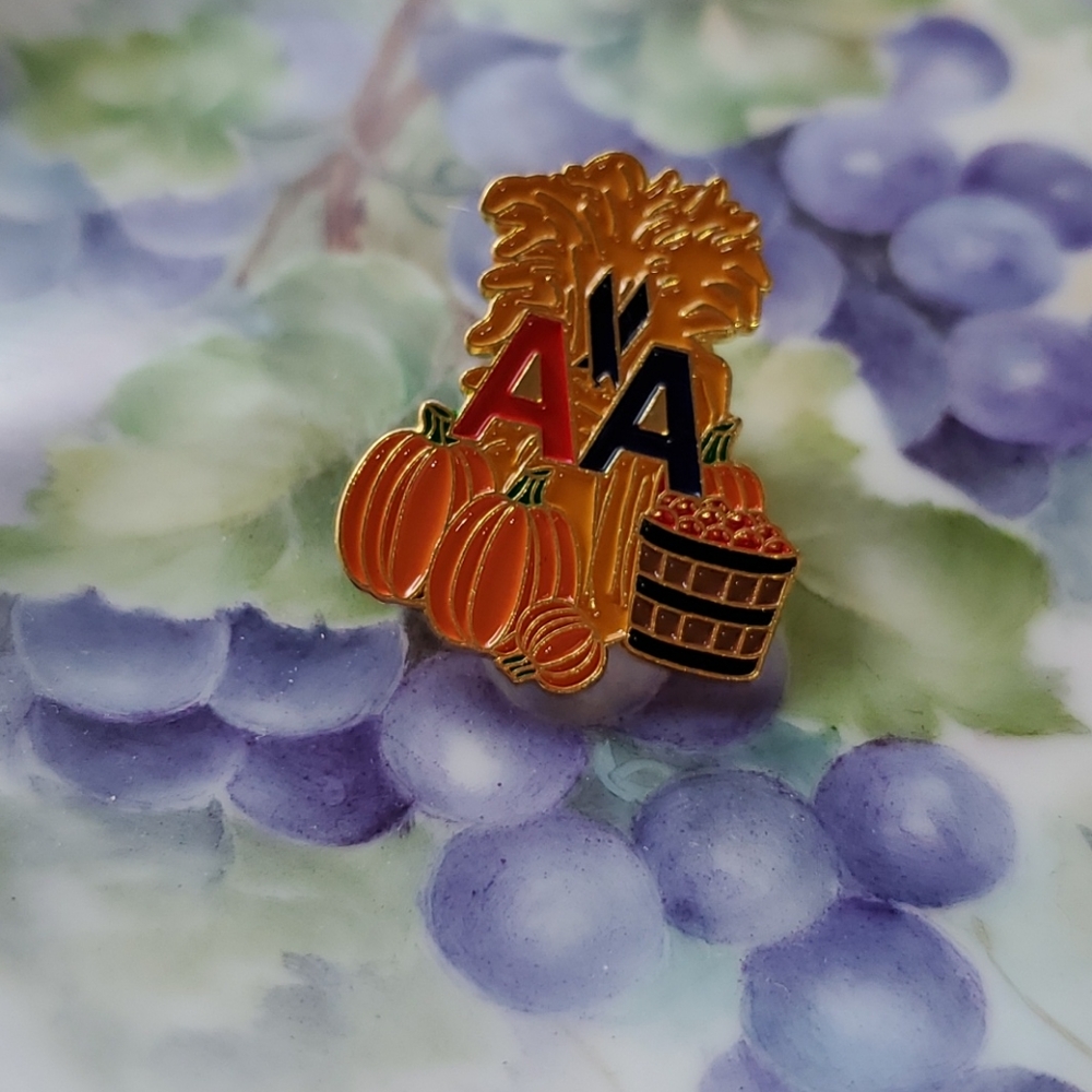 AMERICAN AIRLINES Legacy logo Autumn pumpkin seasonal Holiday pin Thanksgiving - Picture 4 of 5